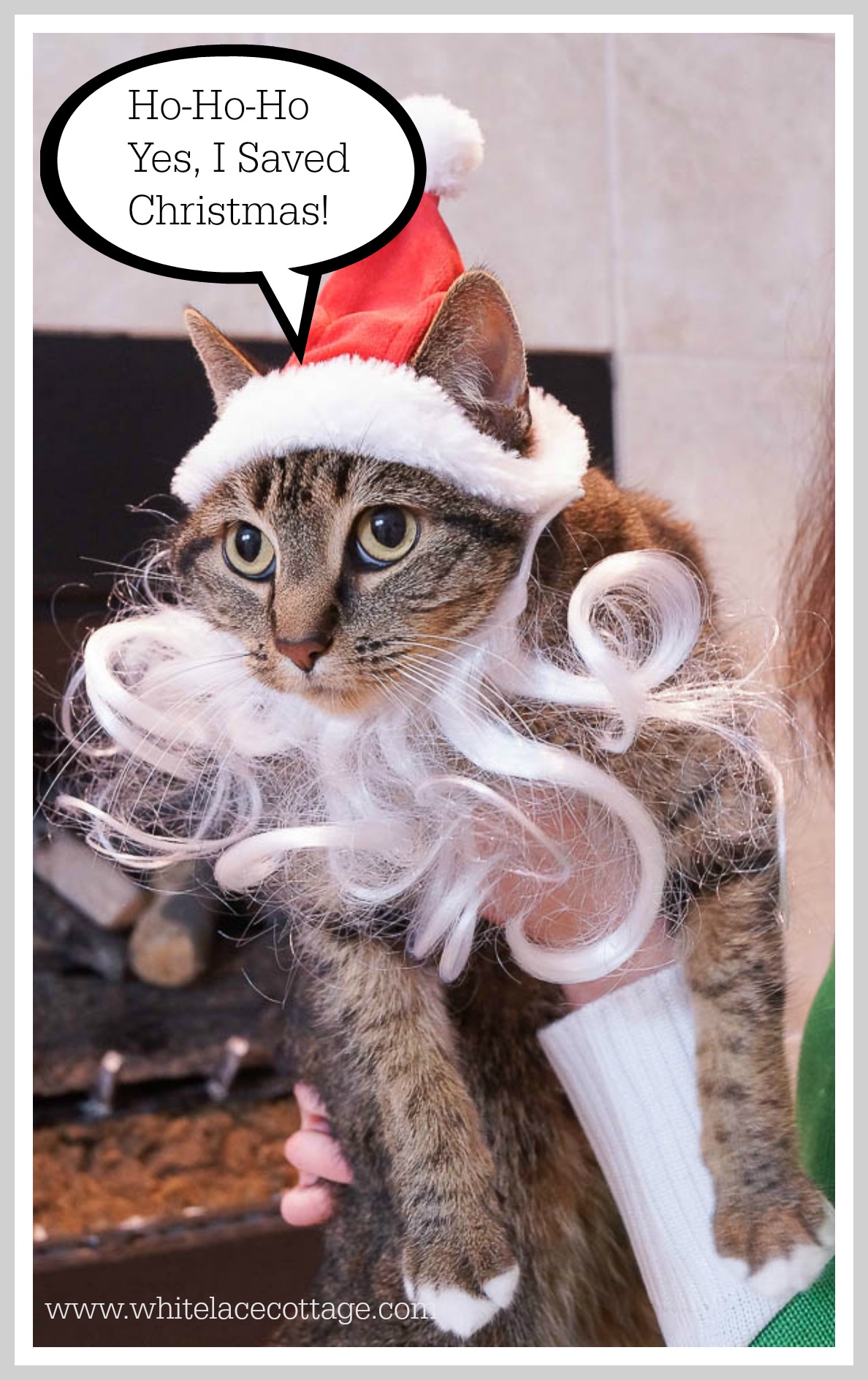 Santa Claws The Cat That Saved Christmas - White Lace Cottage